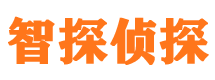 雁山市婚外情调查